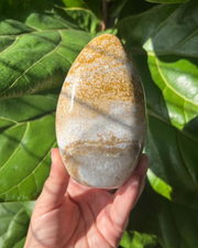 Ocean Jasper Freeform