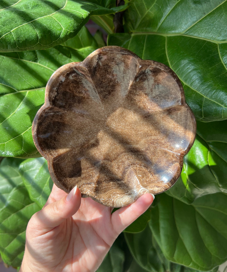 Chocolate Calcite Flower Bowl