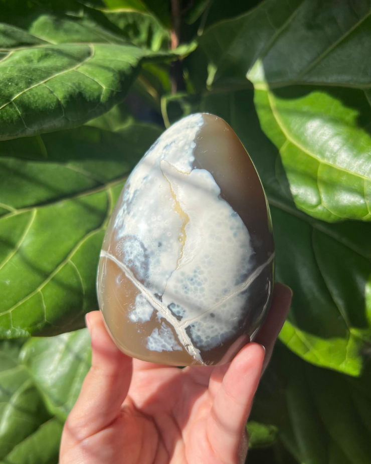 Orca Agate Freeform