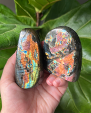 Labradorite Freeform - Pick Your Own