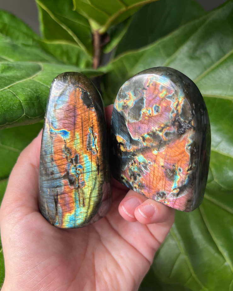 Labradorite Freeform - Pick Your Own