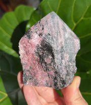 Rhodonite Half Polished Point