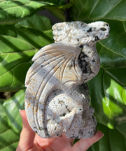 Ocean Jasper Dragon on Skull