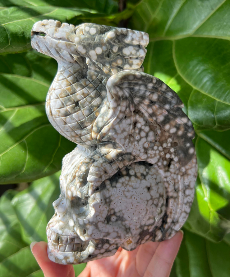 Ocean Jasper Dragon on Skull