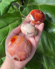 Carnelian Palmstone - Pick Your Own