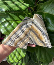 Zebra Onyx Bookends
