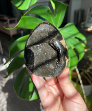Druzy Septarian Egg