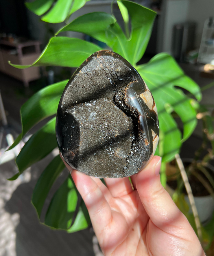 Druzy Septarian Egg