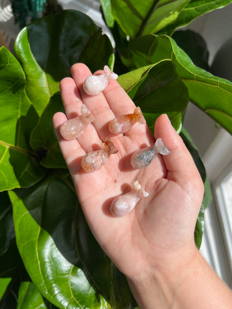 Flower Agate Mini Whale