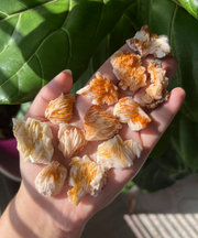 Vanadinite - Pick Your Own