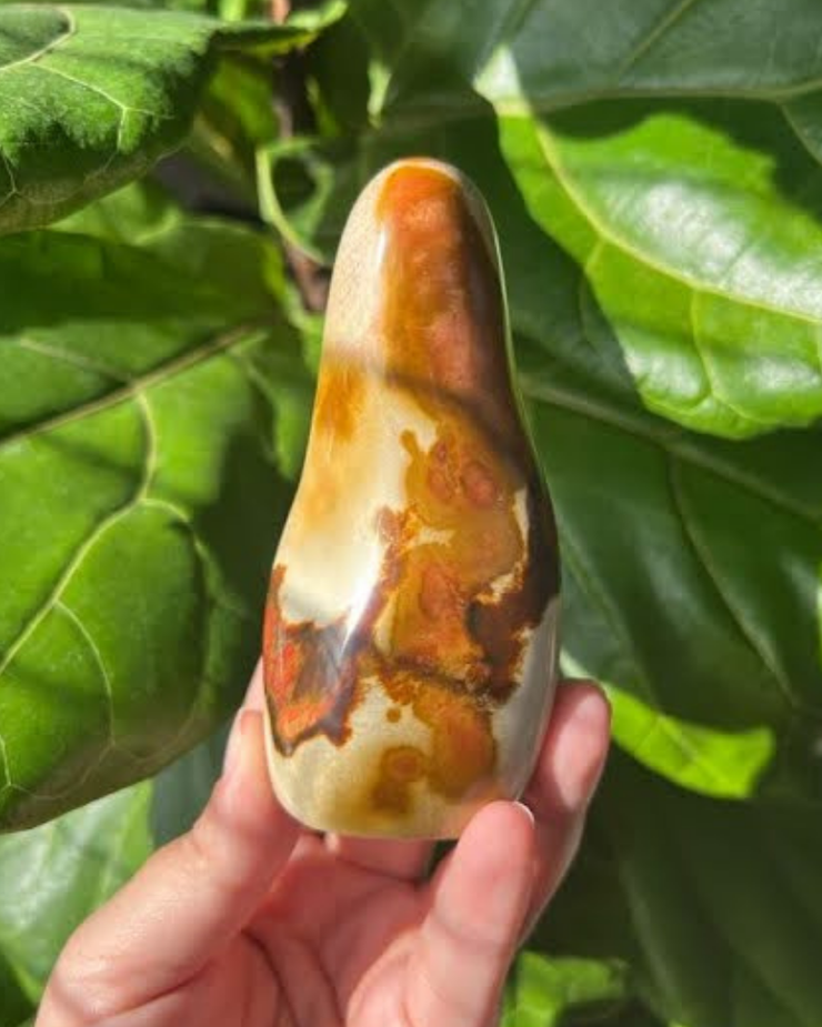 Polychrome Jasper Freeform