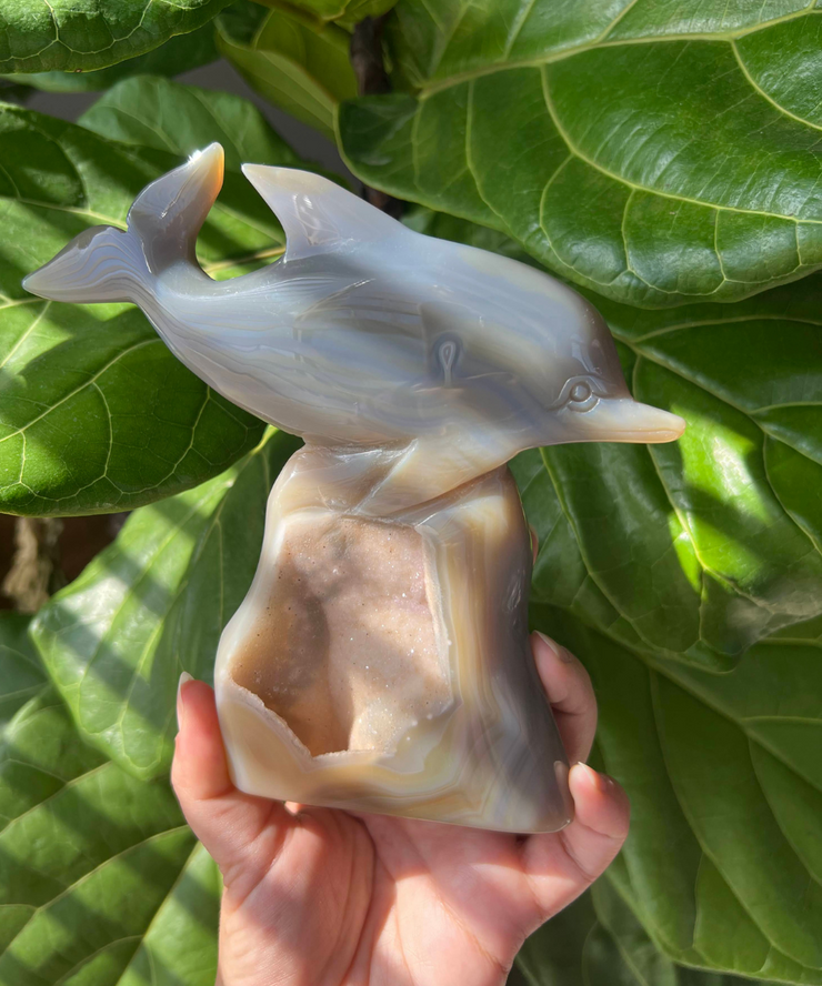 Druzy Agate Dolphin