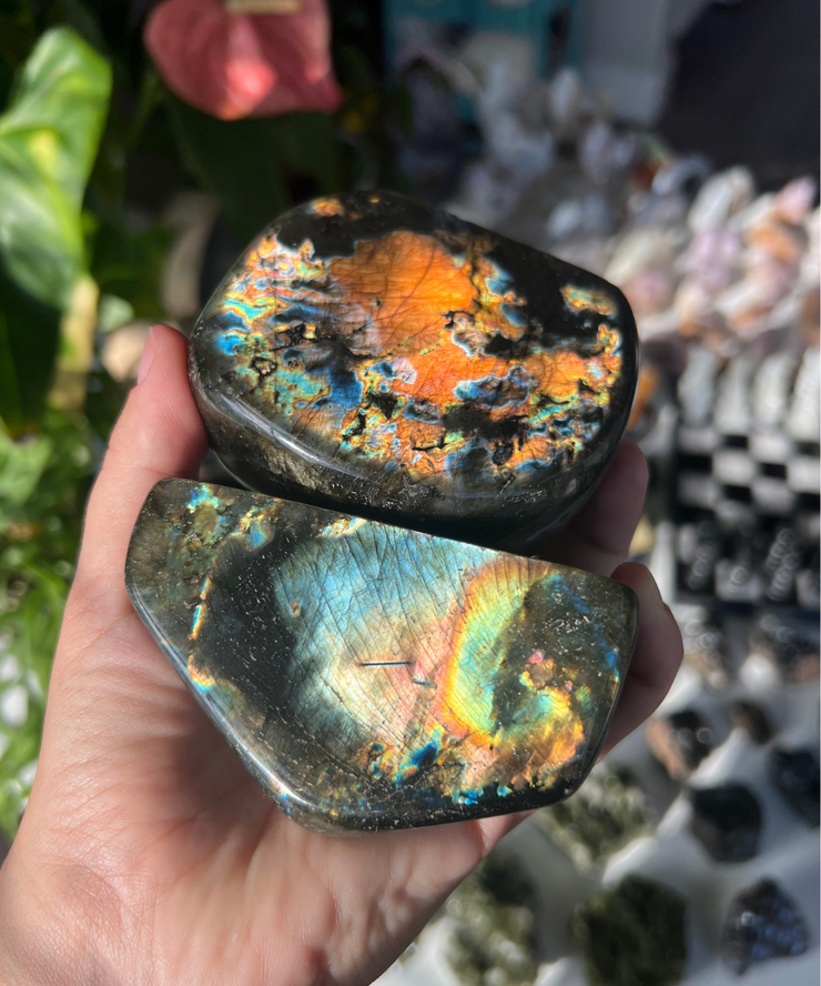 Labradorite Freeform - Pick Your Own