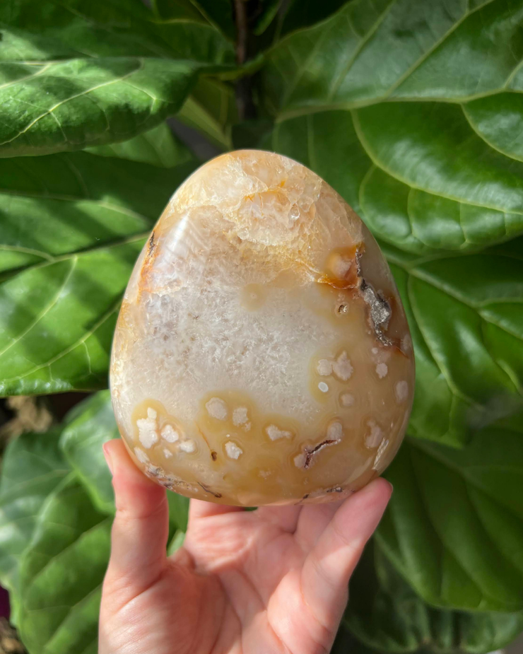 XL Flower Agate Freeform