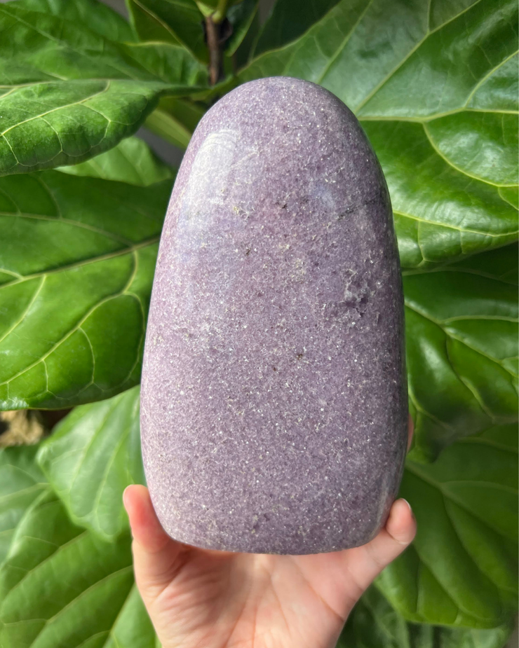 XL Lepidolite Freeform