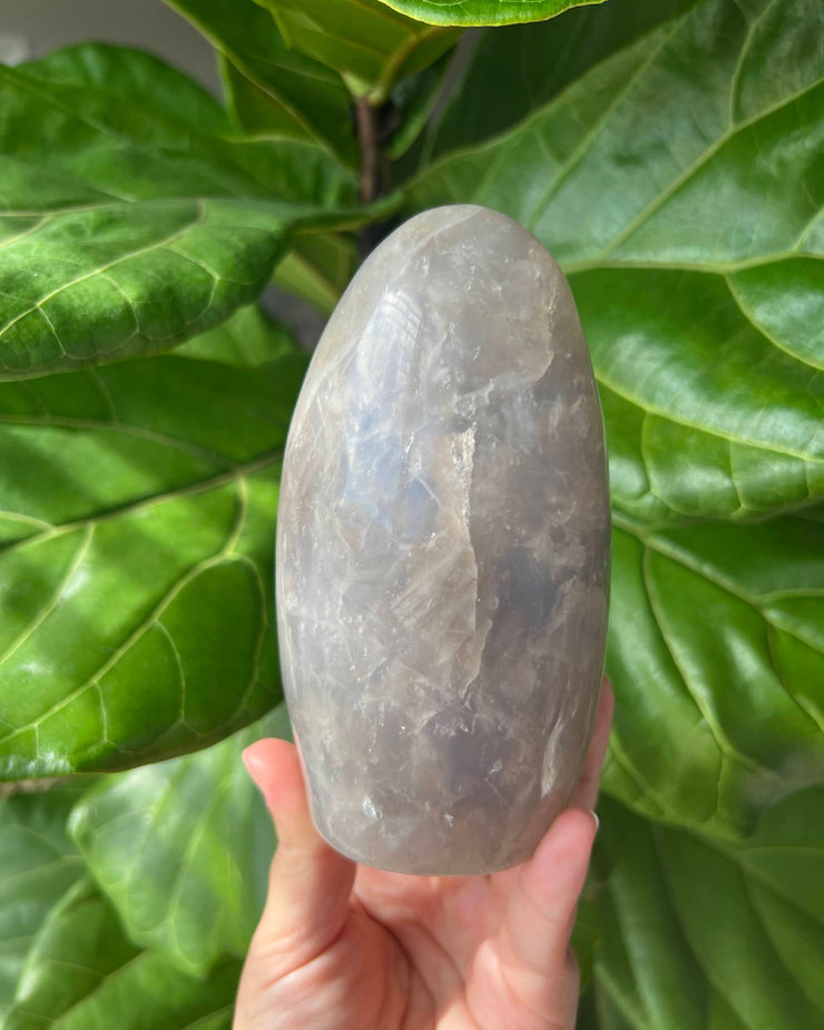 Blue Rose Quartz Freeform