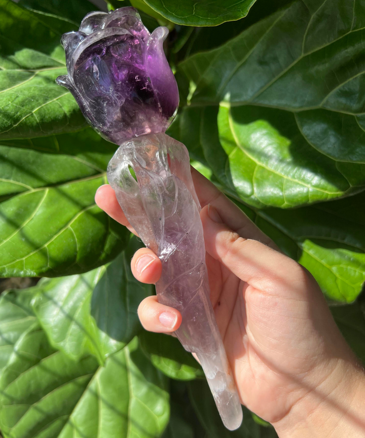 Amethyst Rose