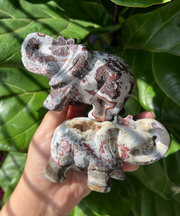 Crazy Lace Agate Elephant - Pick Your Own