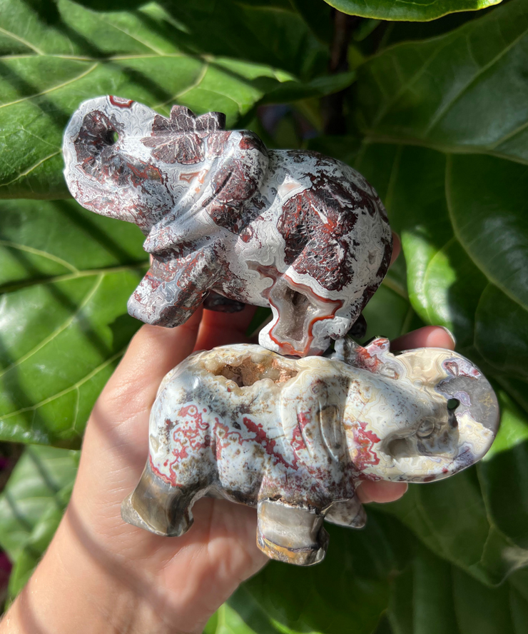 Crazy Lace Agate Elephant - Pick Your Own