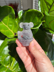 Fluorite Koala