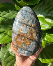 XL Ocean Jasper Freeform