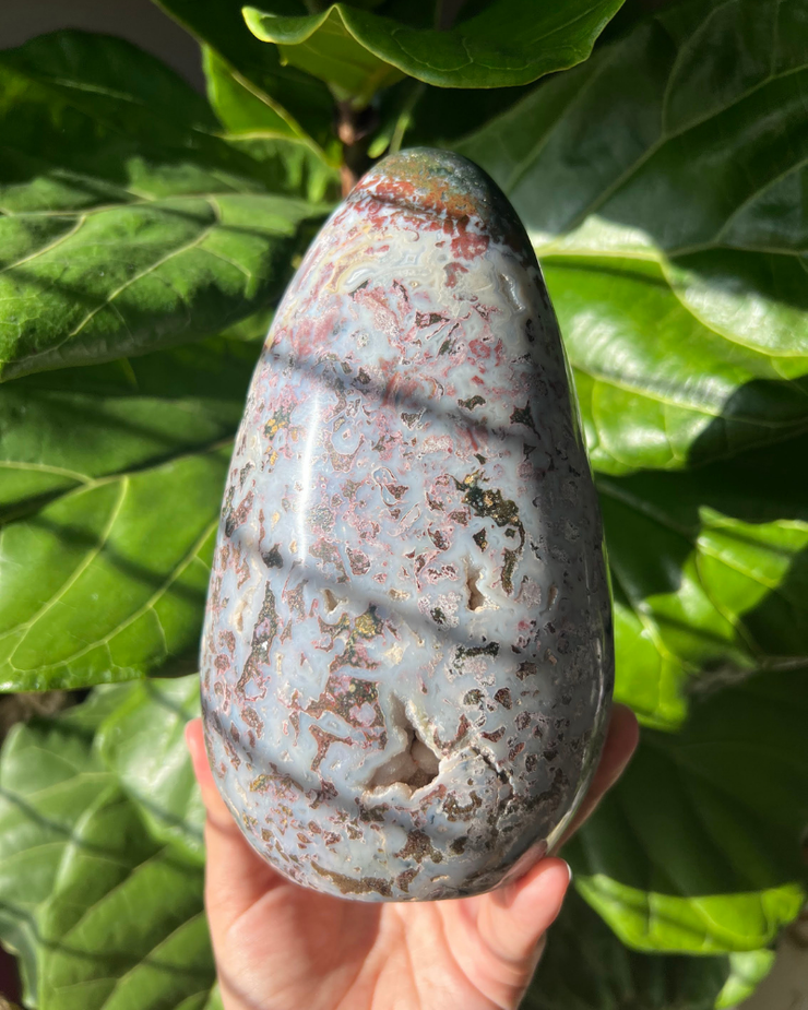 XL Ocean Jasper Freeform
