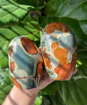 Polychrome Jasper Freeform