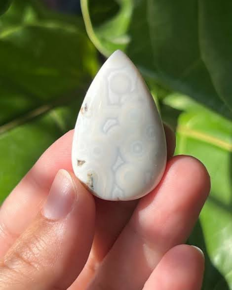 Ocean Jasper Cabochon