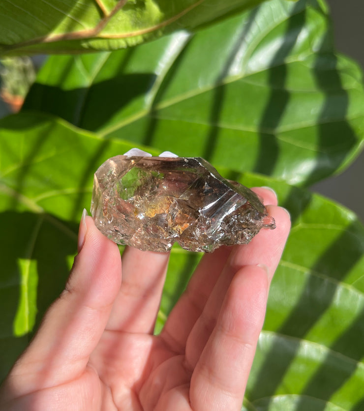 Semi Polished Smoky Quartz