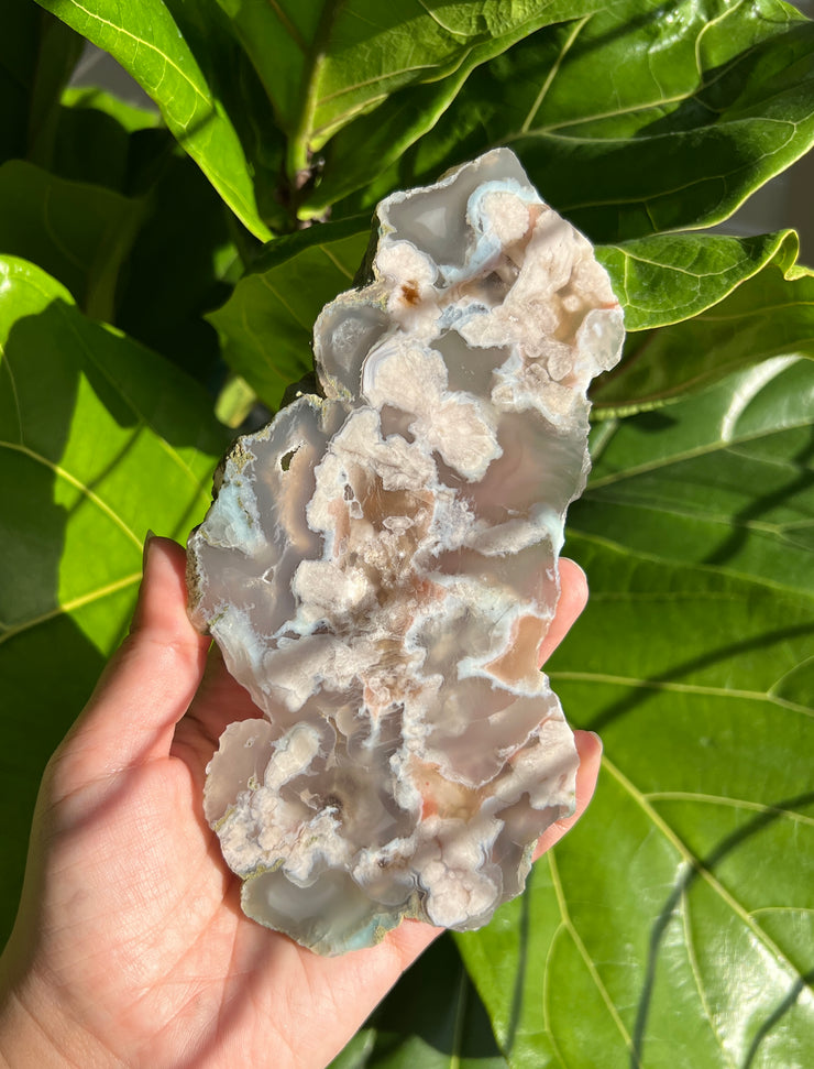 Flower Agate Slab