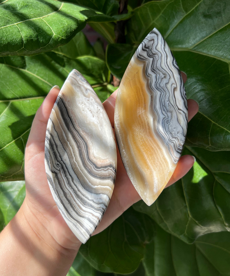 Zebra Jasper Oval Bowl