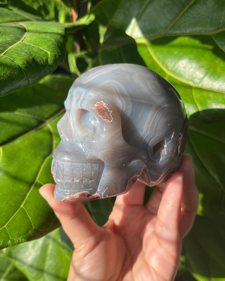 Agate Skull