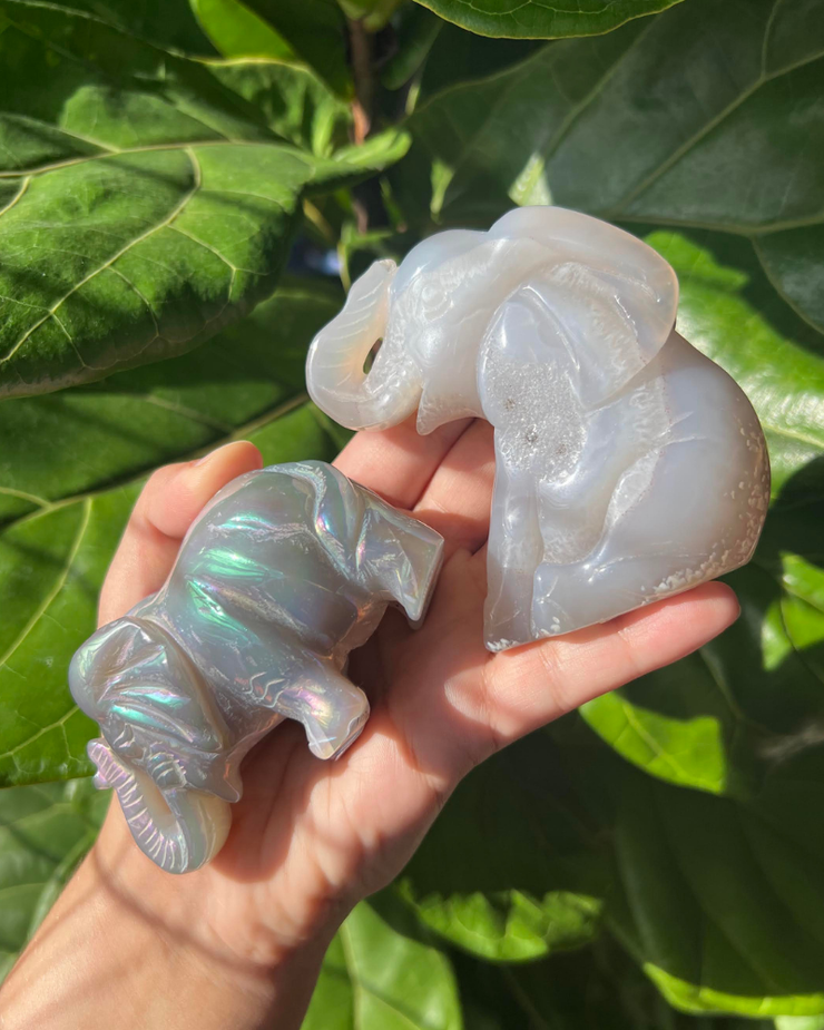 Agate Elephant - Pick Your Own