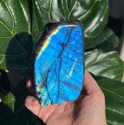 Blue Labradorite Freeform - Pick your own