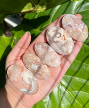 High Quality Flower Agate Palm - Pick Your Own