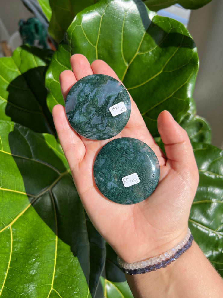 Moss Agate Disk - Pick Your Own
