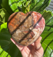 XL Petrified Wood Heart