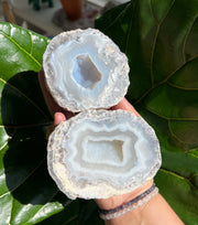 Trancas Agate Geode - Pick Your Own