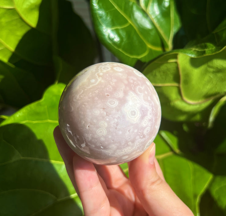 High Quality Flower Agate Sphere Q