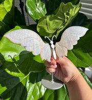 Moonstone Butterfly Wings A