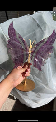 Fluorite Butterfly Wing Pair