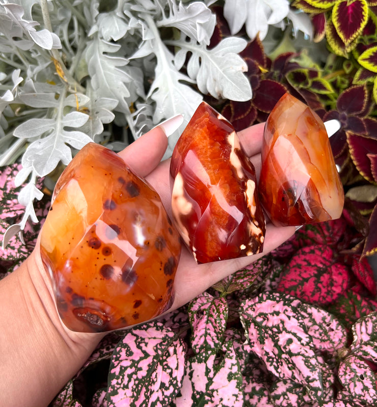 Carnelian Flame - Pick Your Own