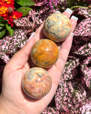 Crazy Lace Agate Sphere - Pick Your Own