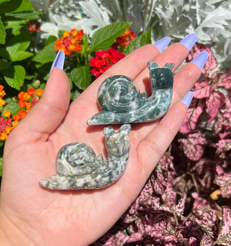 Moss Agate Snail - Pick Your Own