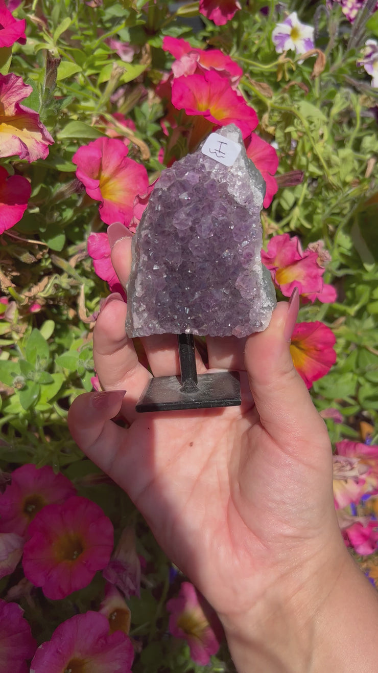 Mini Amethyst on Stand - Pick Your Own