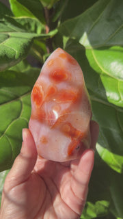 Carnelian Flame