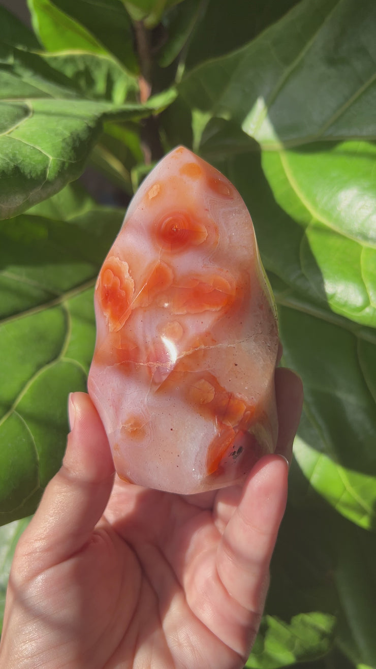 Carnelian Flame