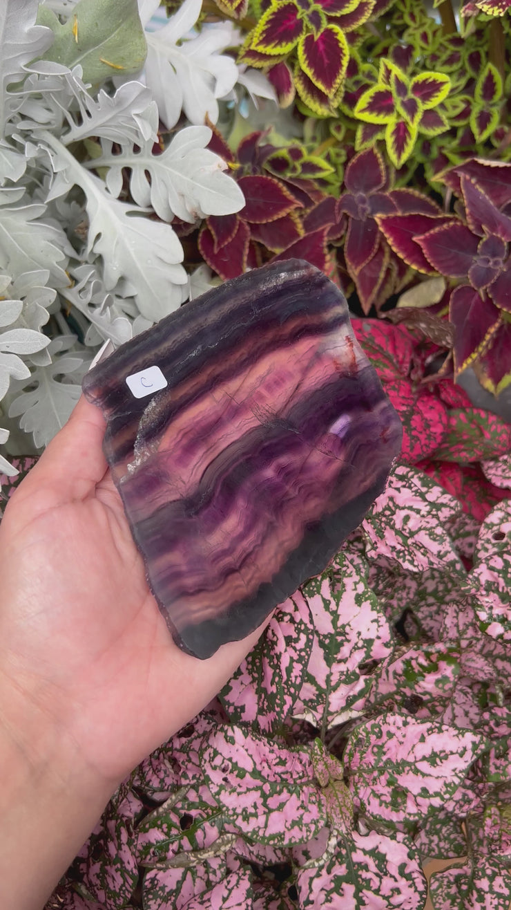 Fluorite Slab - Pick Your Own