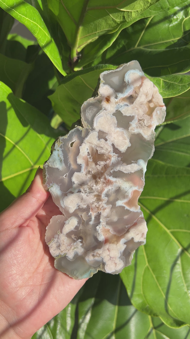 Flower Agate Slab