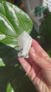 Moss Agate Cupcake - Pick Your Own